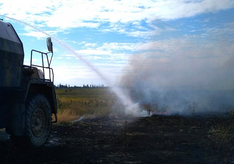 У Горішніх Плавнях пожежники гасили суху траву фото 3