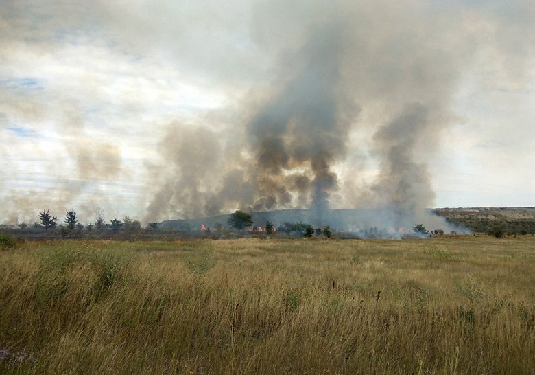 У Горішніх Плавнях пожежники гасили суху траву фото 2