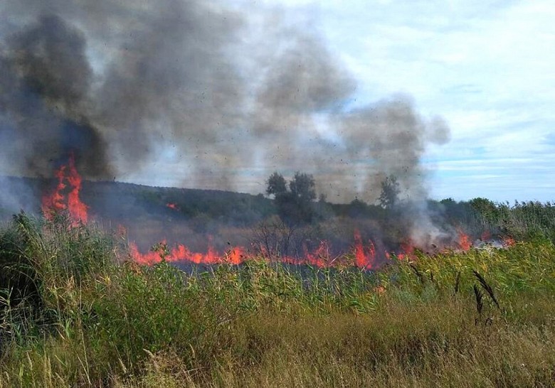 У Горішніх Плавнях пожежники гасили суху траву фото 4